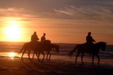 Photo of J&J Riding in Los Osos