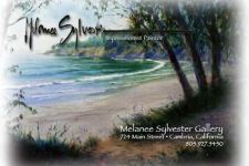 Photo of Melanee Sylvester Gallery
