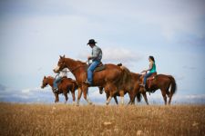 Photo of Outback Trail Rides